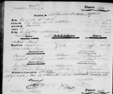 Baldomero Joaquín Rafael Panelli Vega